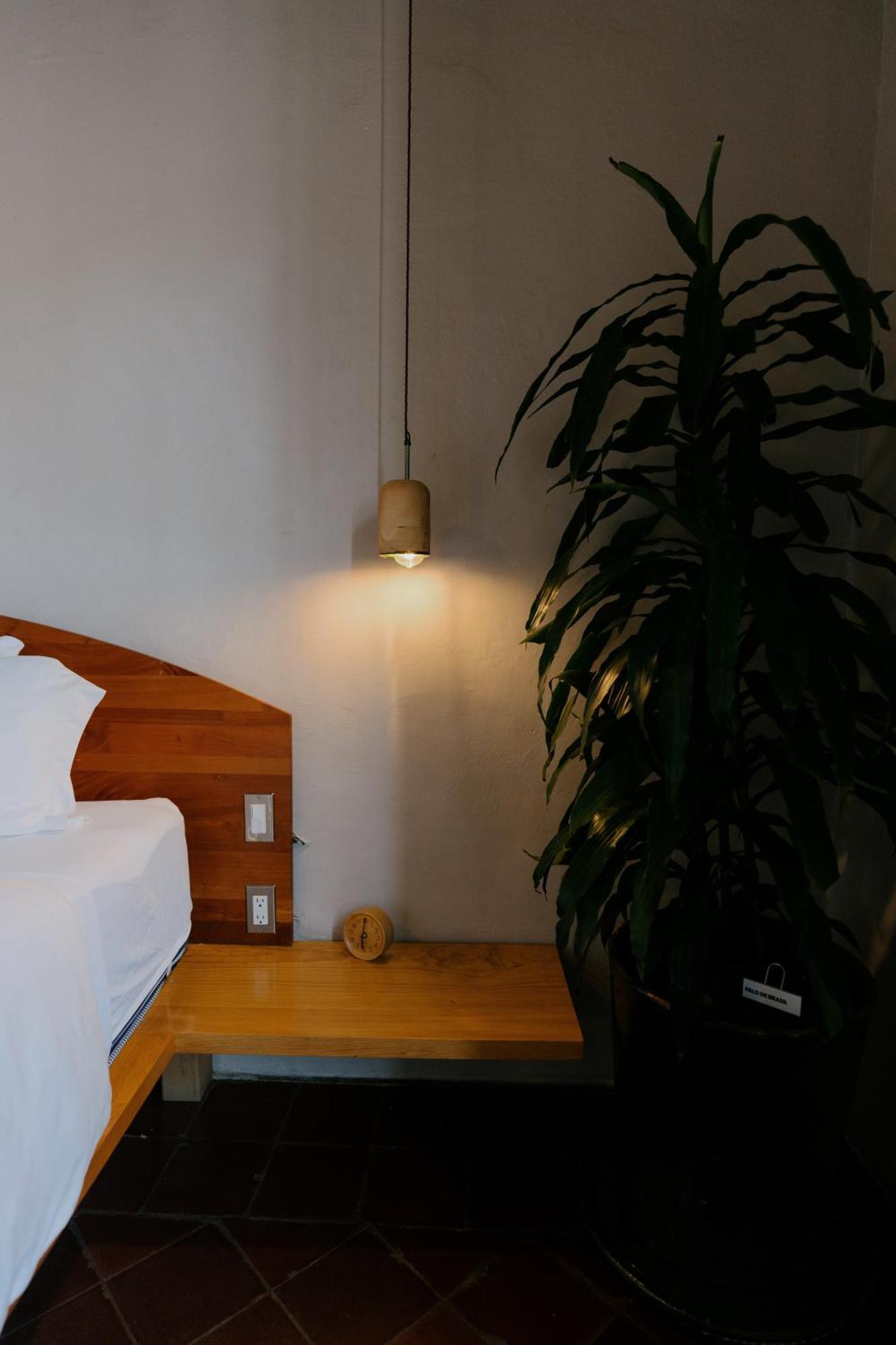 Grana B&B Oaxaca Dış mekan fotoğraf